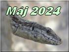 maj 2024